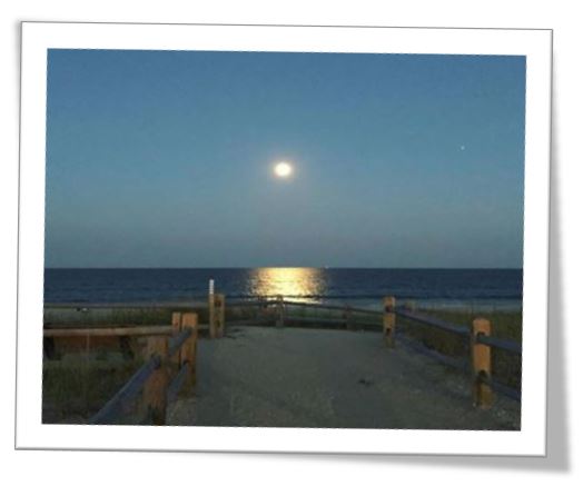 About LBI NJ | Long Beach Island New Jersey Information and Events